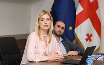გვანცა ჩხეიძის შეხვედრა  სახელმწიფო ზრუნვისა და ტრეფიკინგის მსხვერპლთა, დაზარალებულთა დახმარების სააგენტოს თანამშრომლებთან.