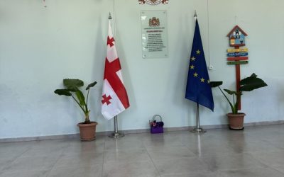 საინფორმაციო შეხვედრები  თბილისის 212-ე და 213-ე საჯარო სკოლებში
